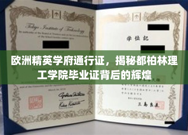 解锁都柏林理工学院，欧洲精英学府的荣耀通行证