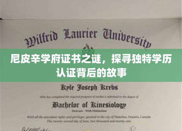 尼皮辛学府证书之谜，探寻独特学历认证背后的故事