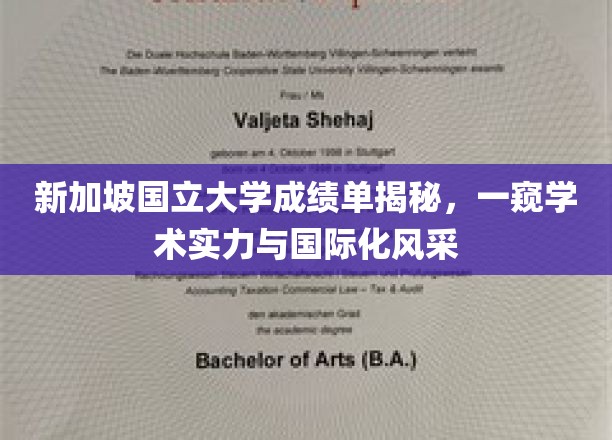 新加坡国立大学，揭秘成绩单背后的学术魅力与全球视野