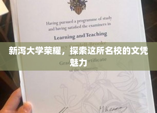 新泻大学风采独树，揭秘文凭背后的非凡魅力