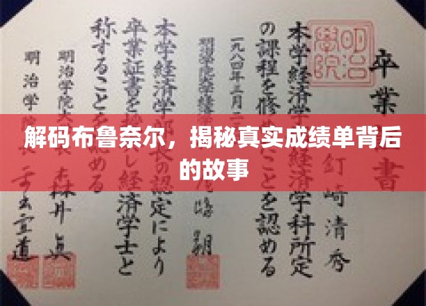布鲁奈尔成绩单揭秘，探寻隐藏在数字背后的非凡历程