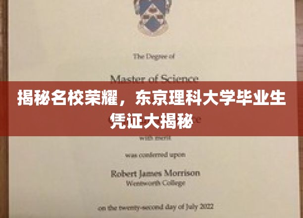 解码东理精英，揭秘毕业生身份背后的实力印记
