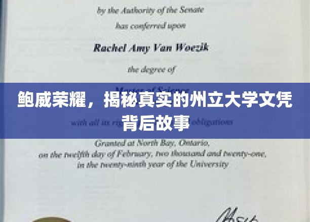 鲍威荣耀背后，州立大学文凭的真实面纱