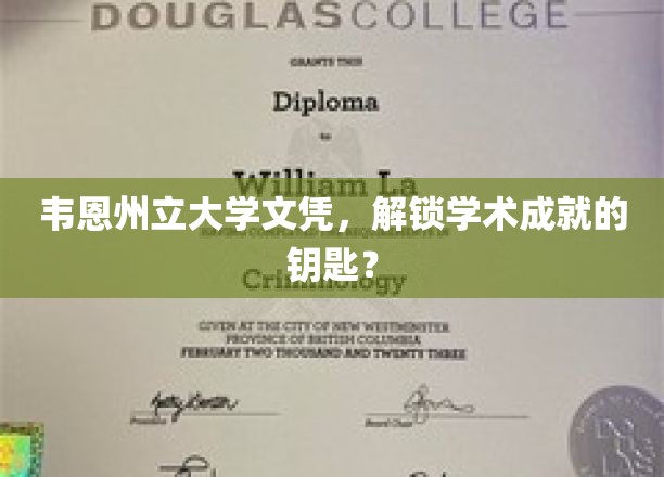 韦恩州立大学文凭，开启学术成就的大门？