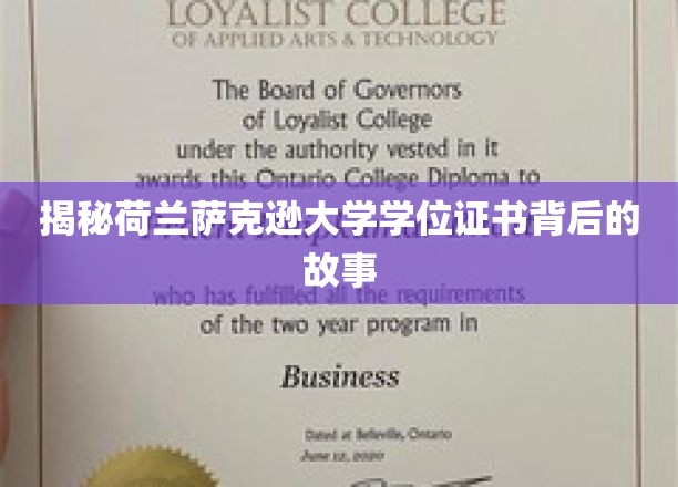 荷兰萨克逊大学学位证书，揭开历史与荣耀的神秘面纱