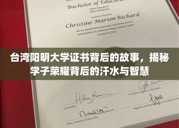 台湾阳明大学证书背后的故事，揭秘学子荣耀背后的汗水与智慧