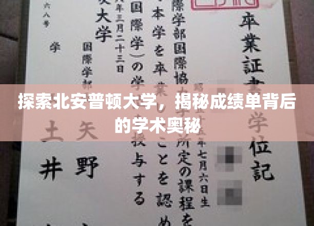 解码北安普顿大学，揭秘成绩单的学术密码