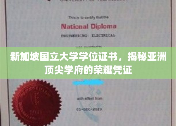 新加坡国立大学学位证书，揭秘亚洲顶尖学府的荣耀凭证
