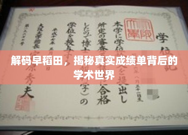 早稻田揭秘，探寻成绩单背后的学术奥秘
