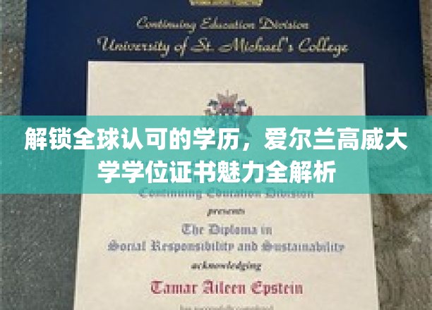 爱尔兰高威大学学位证书，国际认可背后的秘密魅力揭晓