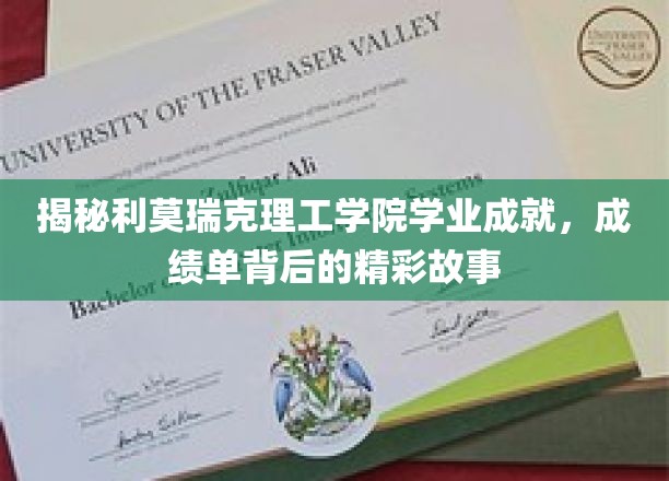利莫瑞克理工学院学霸风云录，揭开学业巅峰背后的神秘面纱