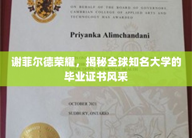 谢菲尔德之光，全球名校毕业证书魅力大揭秘
