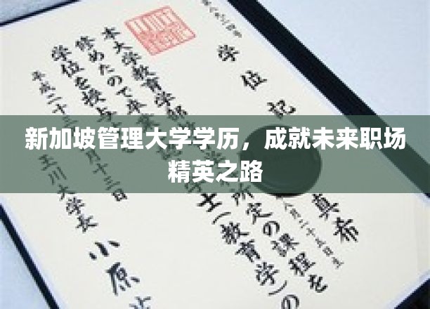 新加坡管理大学学位，助你踏上职场精英蜕变之旅