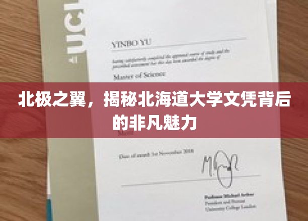 北海道文凭的北极奥秘，探寻世界顶尖学府的非凡吸引力
