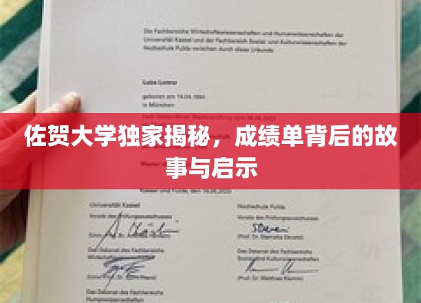 探寻佐贺大学成绩单背后的秘密与人生启示