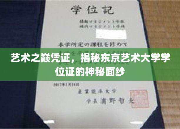艺术殿堂通行证，一探东京艺术大学学位证的独特魅力