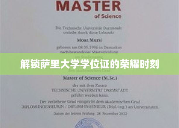 萨里大学荣耀瞬间，学位证背后的非凡历程