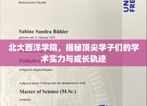 北大西洋学院，揭秘顶尖学子们的学术实力与成长轨迹