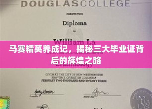 马赛精英养成记，深度解析三大毕业证书背后的辉煌征途