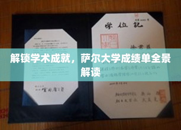 探秘萨尔大学，深度解析学霸背后的成绩单