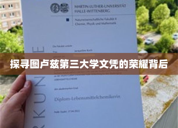 探寻图卢兹第三大学文凭的荣耀背后