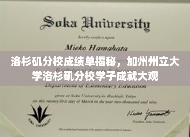 加州州立大学洛杉矶分校风采展示，学子卓越成就大盘点