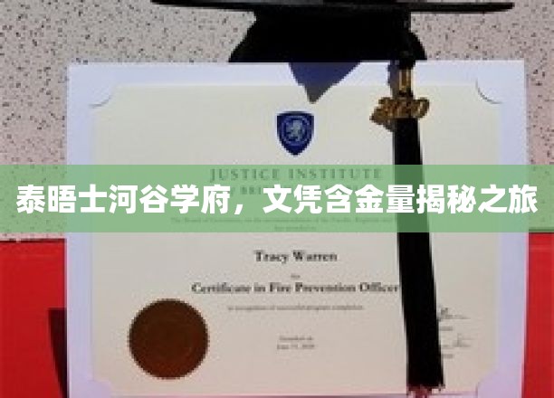 探索泰晤士河谷学府，揭秘高含金量文凭背后的故事