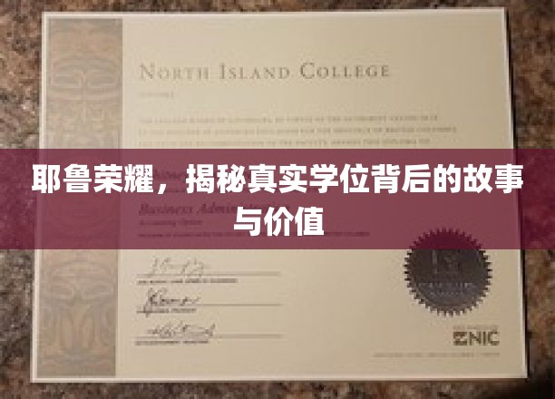 耶鲁荣耀，揭秘真实学位背后的故事与价值