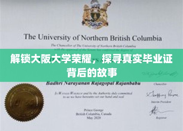 揭秘大阪大学荣耀，毕业证背后的传奇历程
