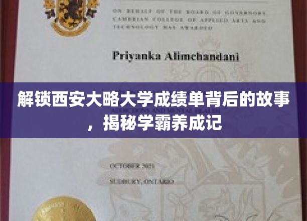 探寻西安大略大学学霸之路，揭秘成绩单背后的秘密宝藏