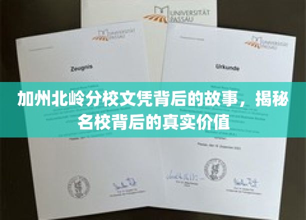 北岭名校文凭之谜，探寻加州分校背后的深层价值