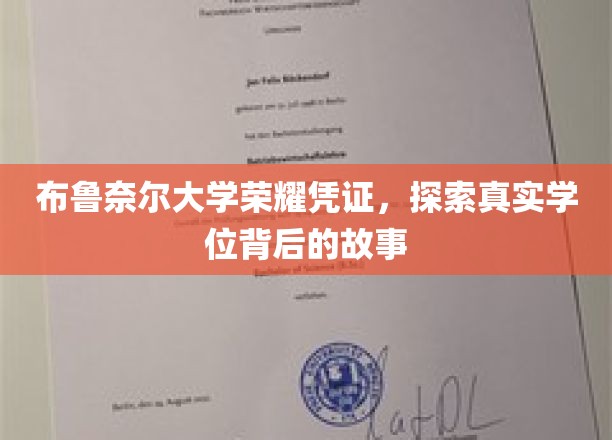 解码布鲁奈尔荣耀学位，探寻背后的传奇与真知