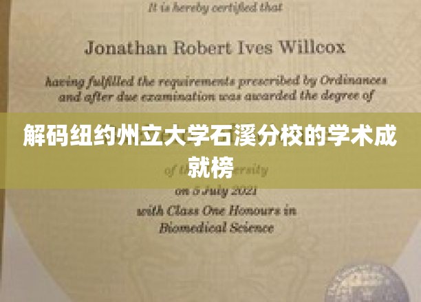 解码纽约州立大学石溪分校的学术成就榜
