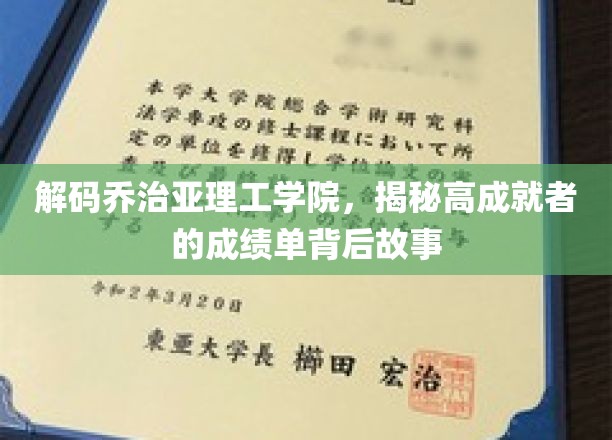 解码乔治亚理工学院，揭秘高成就者的成绩单背后故事