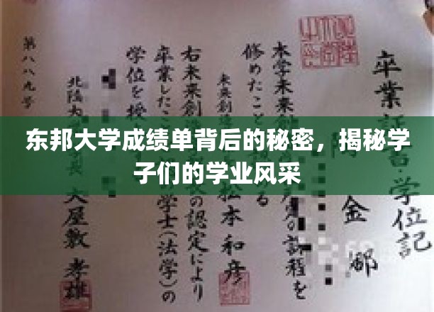 东邦学子秘境，揭开成绩单背后的璀璨篇章