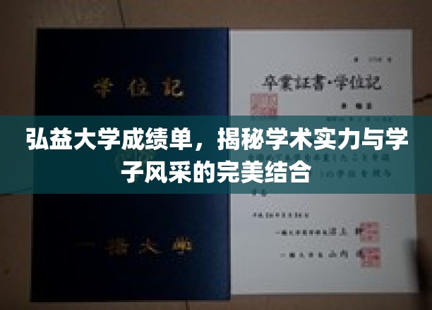 弘益大学风采展，成绩单见证学术实力与学子荣耀的交织