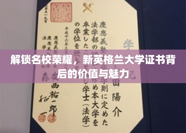探寻新英格兰大学证书，开启学术荣耀与职业未来的钥匙