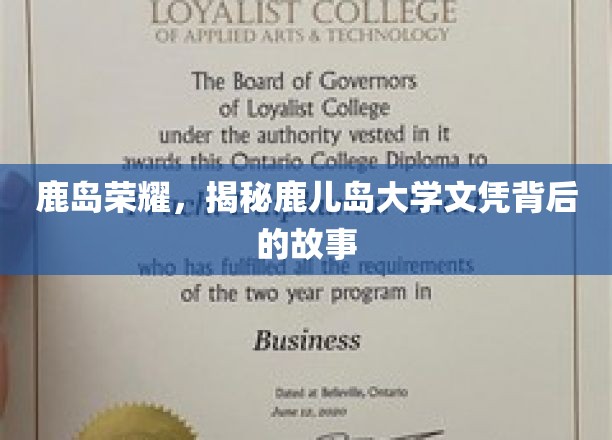 鹿岛传奇，一纸鹿儿岛大学文凭背后的光辉历程
