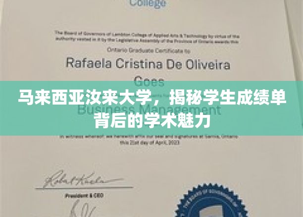 探索汝来大学，揭开学生成绩单背后的学术风采