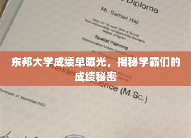 东邦大学成绩单曝光，揭秘学霸们的成绩奥秘