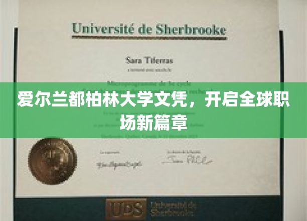 爱尔兰都柏林大学文凭，开启全球职场新篇章