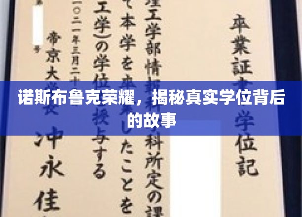 诺斯布鲁克荣耀，揭秘真实学位背后的故事