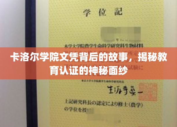 揭开卡洛尔学院文凭之谜，教育认证背后的真实面貌
