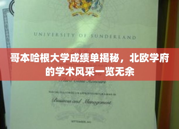 哥本哈根大学成绩单曝光，探寻北欧学术殿堂的秘密风采