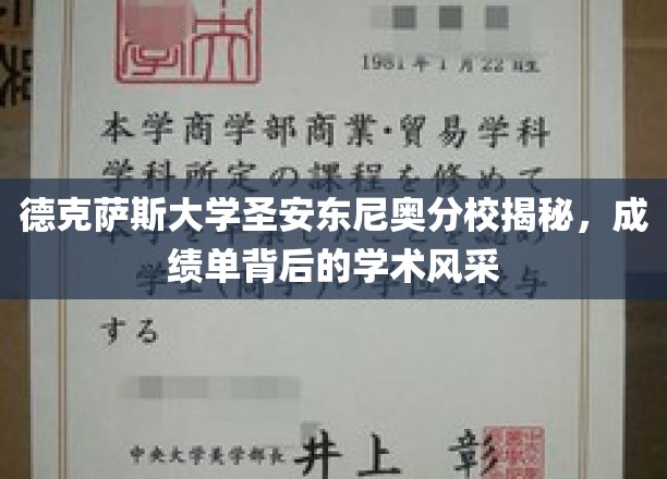 解码德克萨斯大学圣安东尼奥分校，成绩单背后的学术魅力探秘