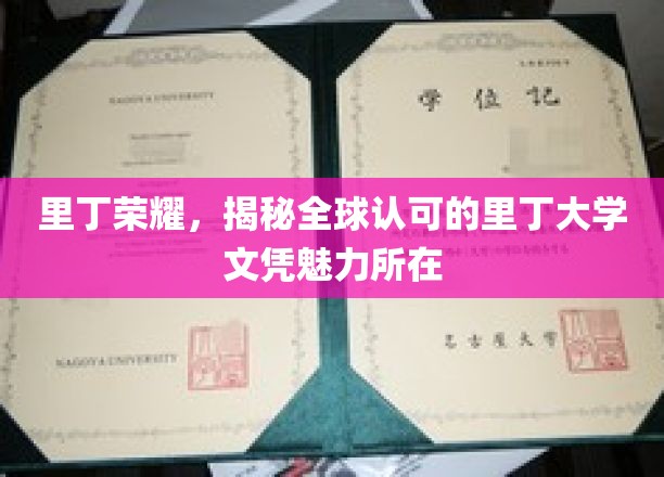 探寻里丁大学，全球认可背后的独特魅力