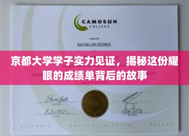 京都大学学子实力见证，揭秘这份耀眼的成绩单背后的故事