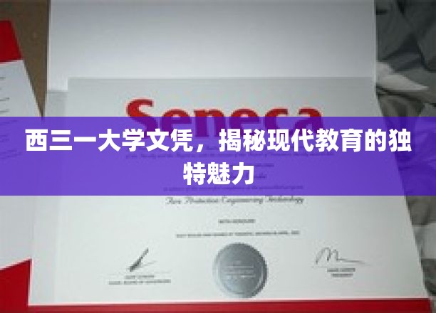西三一大学学位证书，探寻现代教育的独特魅力