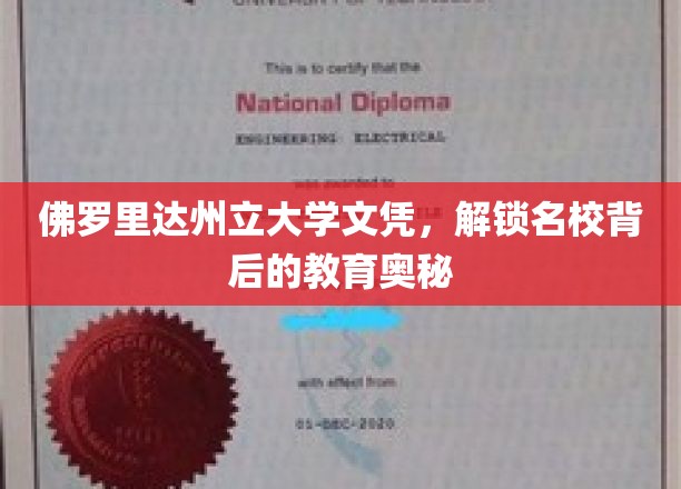 佛罗里达州立大学文凭，解锁名校背后的教育奥秘