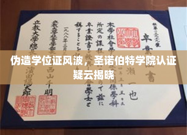 学位证疑云揭晓，圣诺伯特学院认证之谜终见分晓
